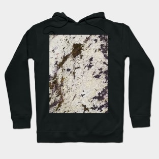 Moss Rock Texture Pattern Hoodie